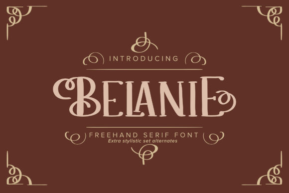 Belanie: A Designer's Honest Review for Real-World Projects