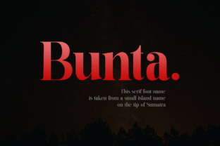 Bunta: A Bold Serif Font That Elevates Digital Brand Experiences