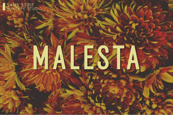 Why Malesta Is the Perfect Sans Serif Font for Modern Editorial Design